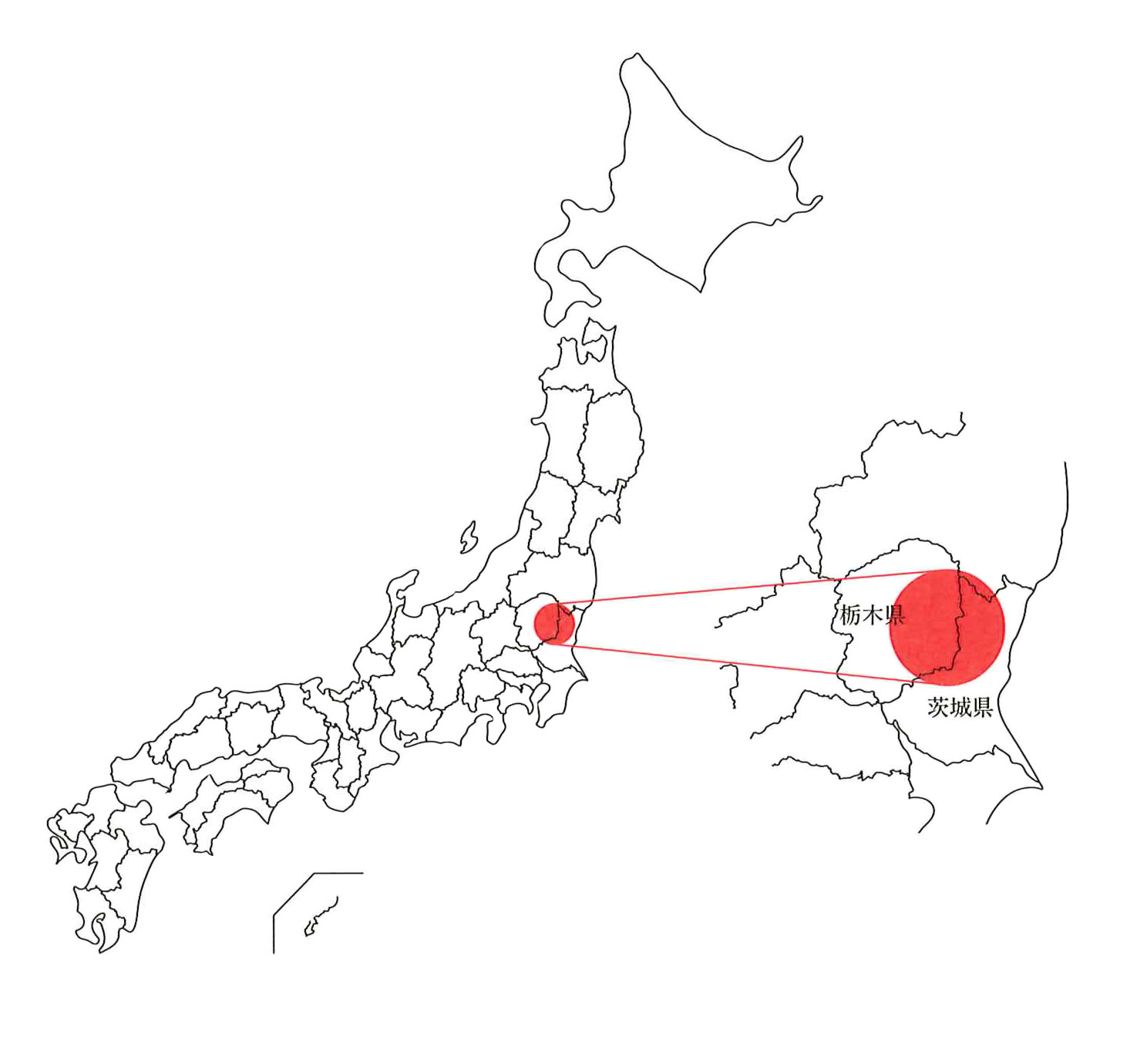 茨城・栃木は桧産地の北限です