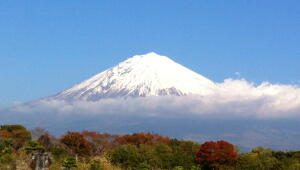 リニューアルブログ第一号