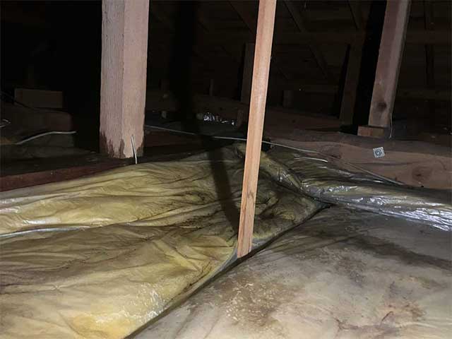 屋根の雨漏り原因を調査する様子（柏市）
