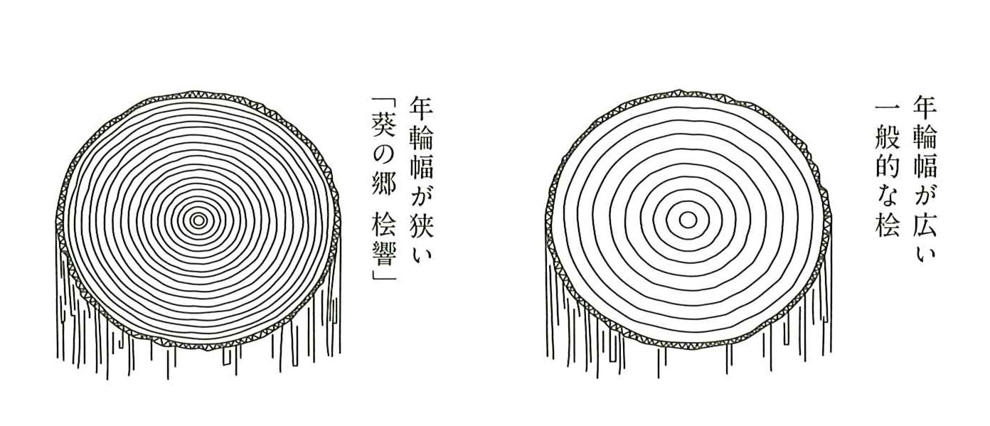 桧の年輪幅