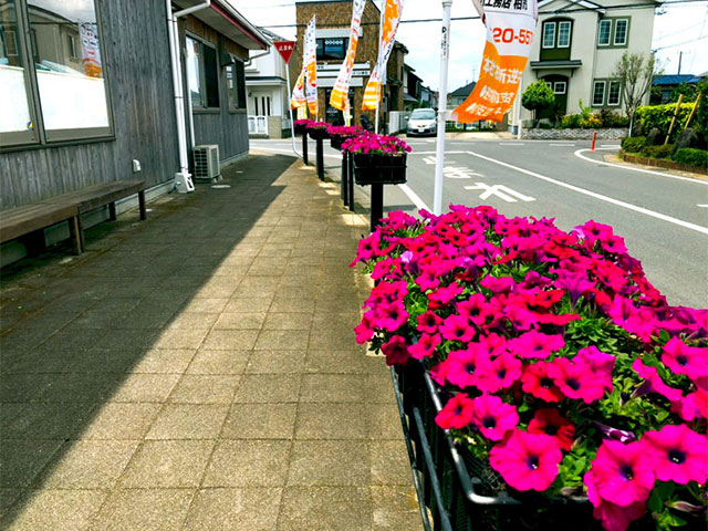 小川工務店に夏が来た❗️