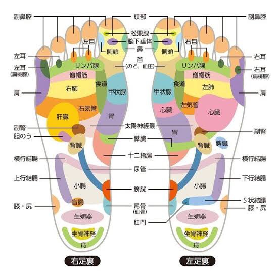 足つぼ