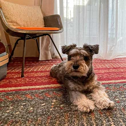 松戸市：建売住宅を自分たちらしくリフォーム   「できないと思っていたことが、形になりました」